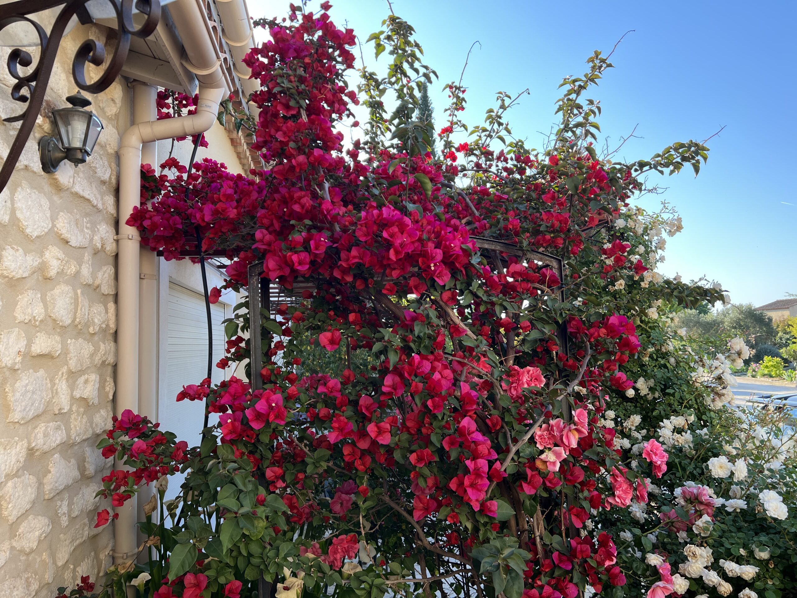 Sublime Provence - Arles