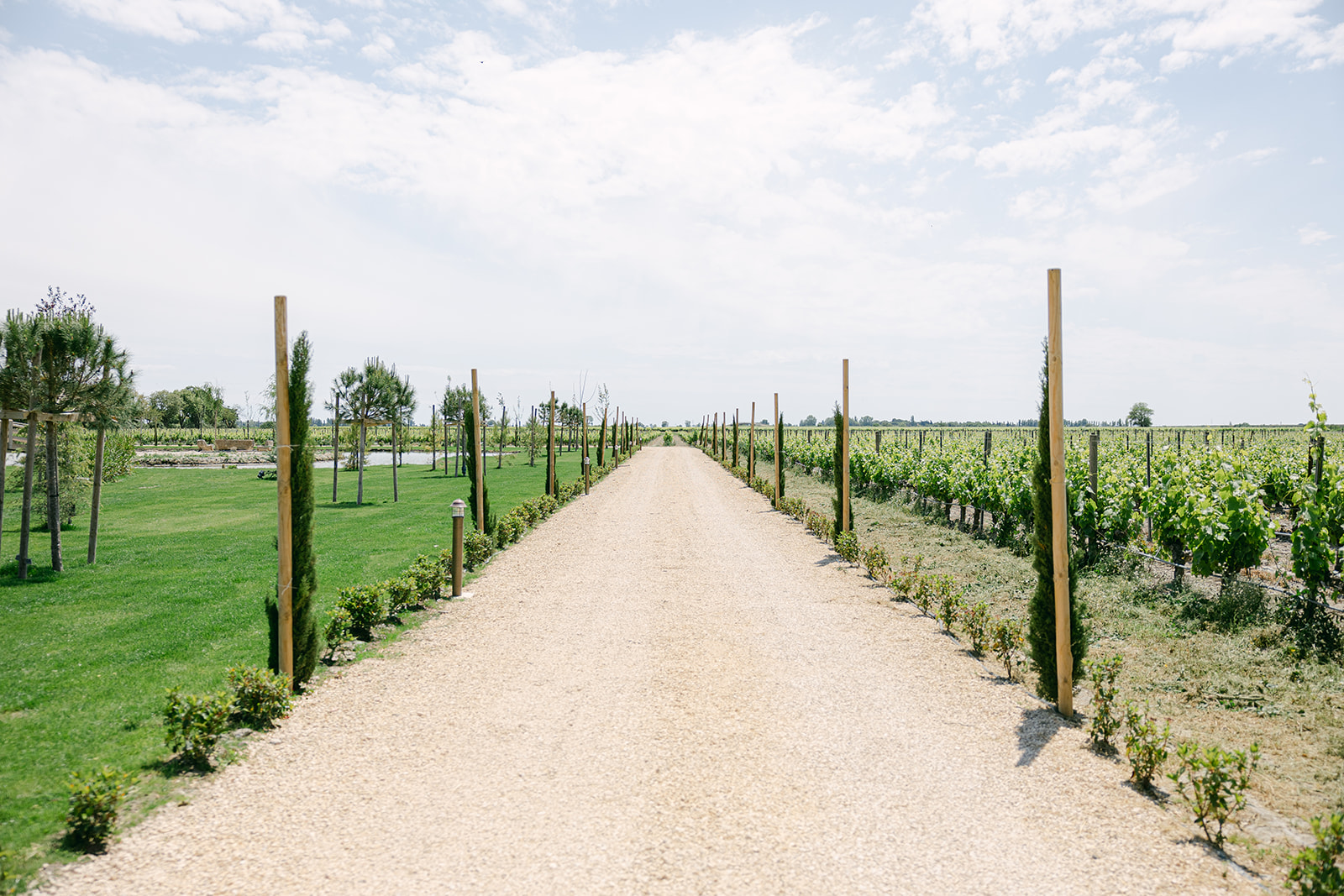 Mariage d’exception en Camargue – Domaine Oliviers & Vignobles