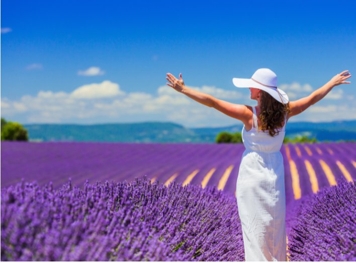 Champs de lavande en Provence, source de bien-être