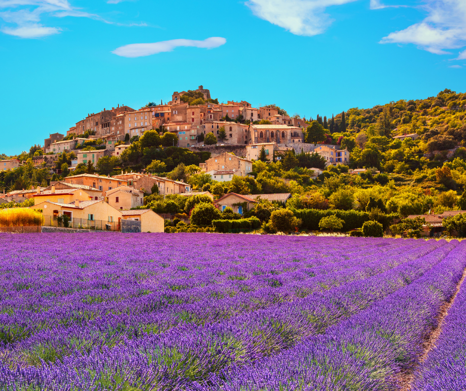 Provence Village overlooking a field of lavender