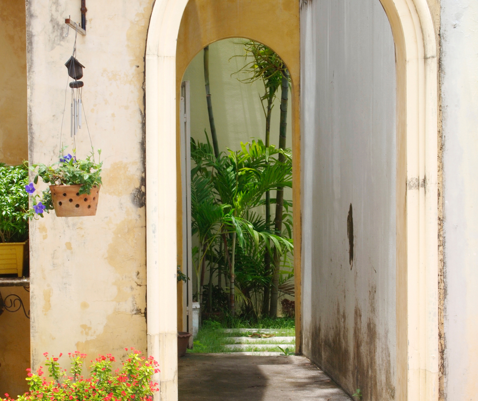 Expérience en Provence 