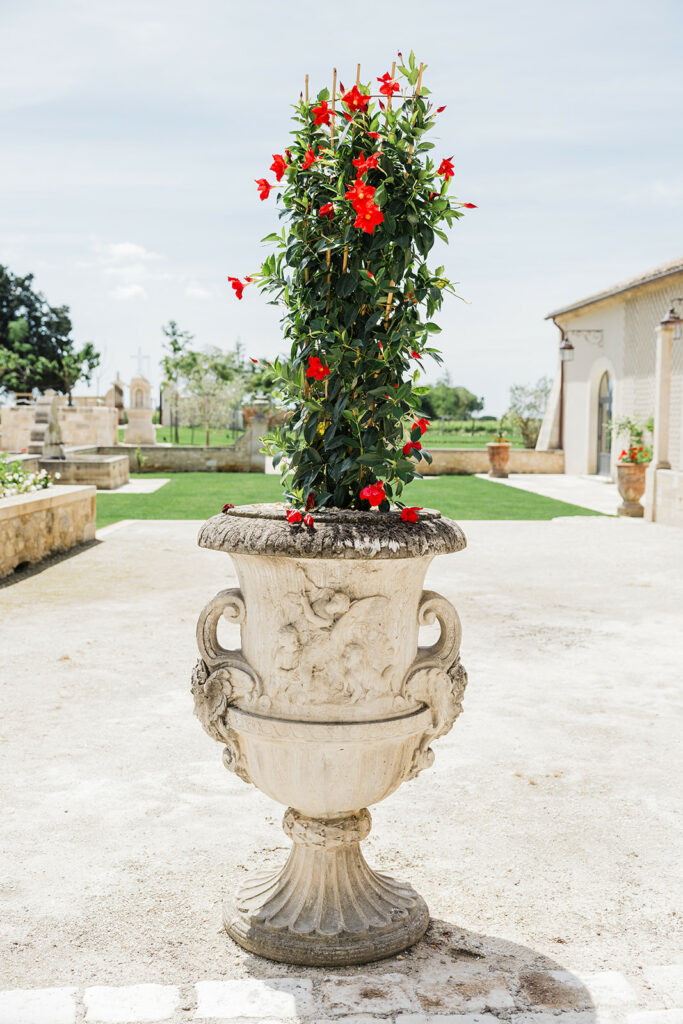Domaine d'exception en Camargue
